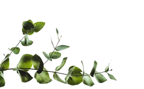 Зелёная веточка