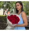 Красные розы «Великолепие» 2
