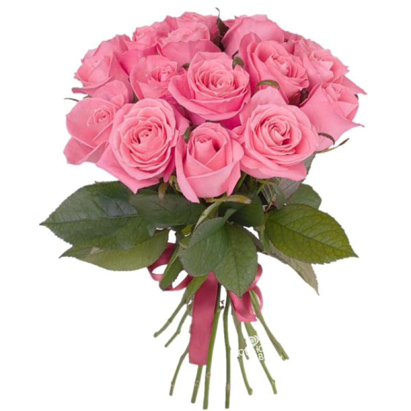 Букет из 15 розовых роз &laquo;Мечта поэта&raquo;