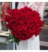 Красная роза эксплорер 60 см