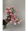 Кустовая гвоздика 1