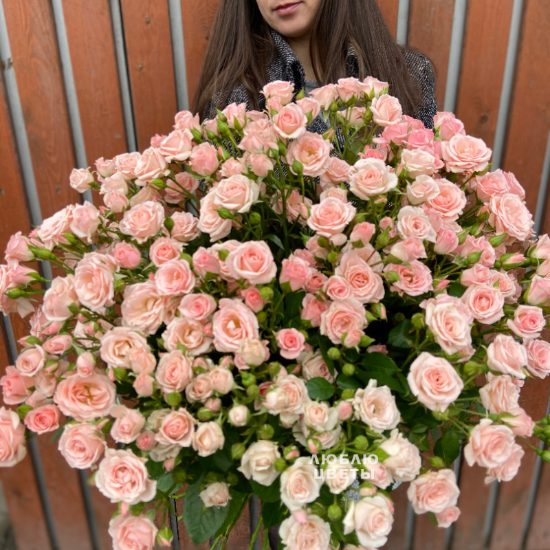 Букет из 25 кустовых роз &quot;Приятное воспоминание&quot; 1