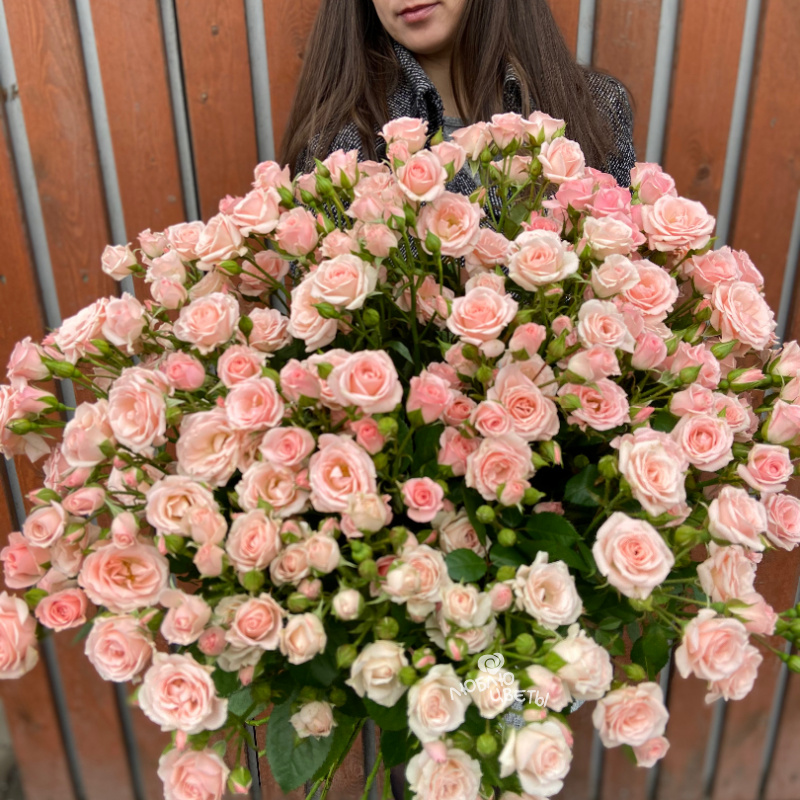 Букет из 25 кустовых роз &laquo;Приятное воспоминание&raquo; 1