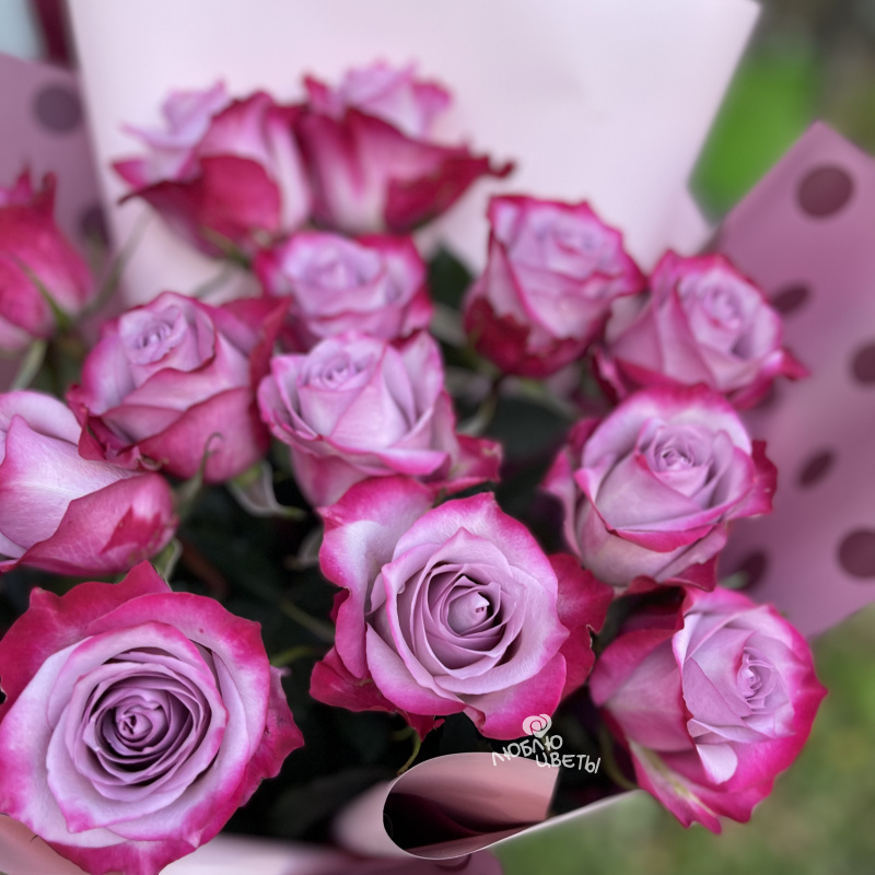 Букет из 15 фиолетовых роз &laquo;Фиолетовое настроение&raquo; 3