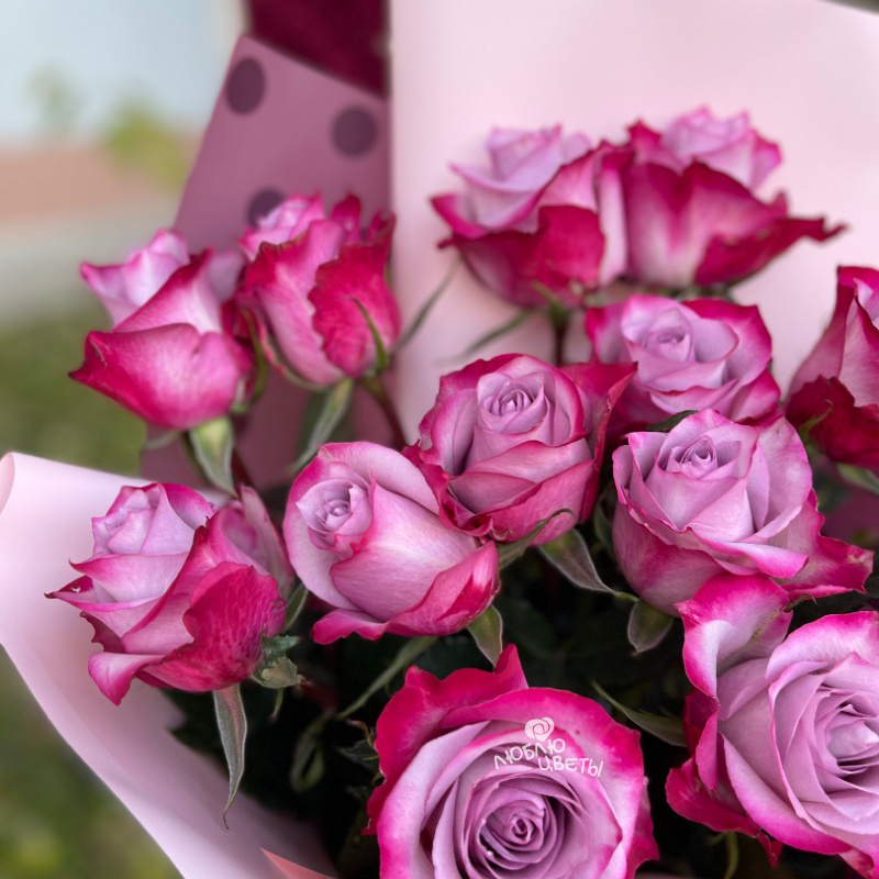Букет из 15 фиолетовых роз «Фиолетовое настроение» 4