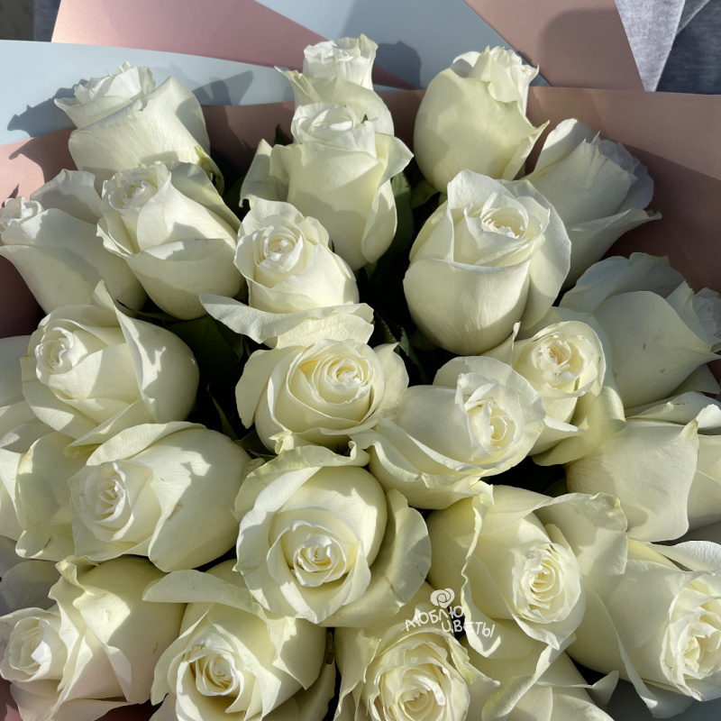 Букет из 25 белых роз «Белая дымка» 2