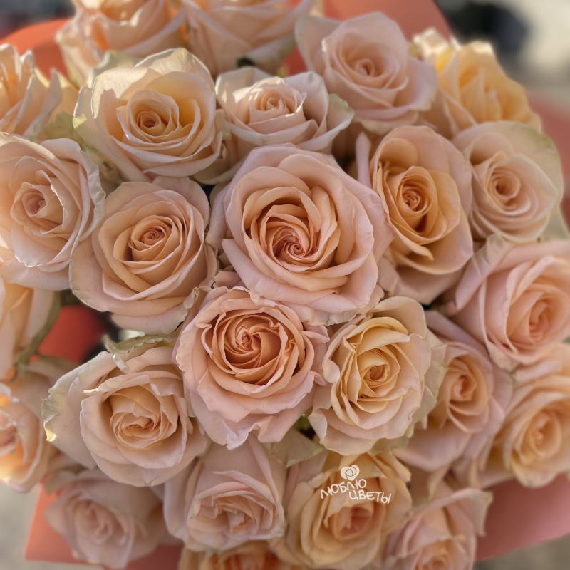Букет из 25 персиковых роз «Трепетная любовь» 3