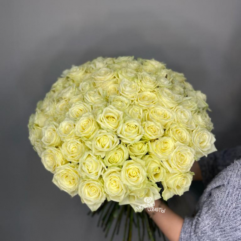 Букет из 101 белой розы «Белла» 1