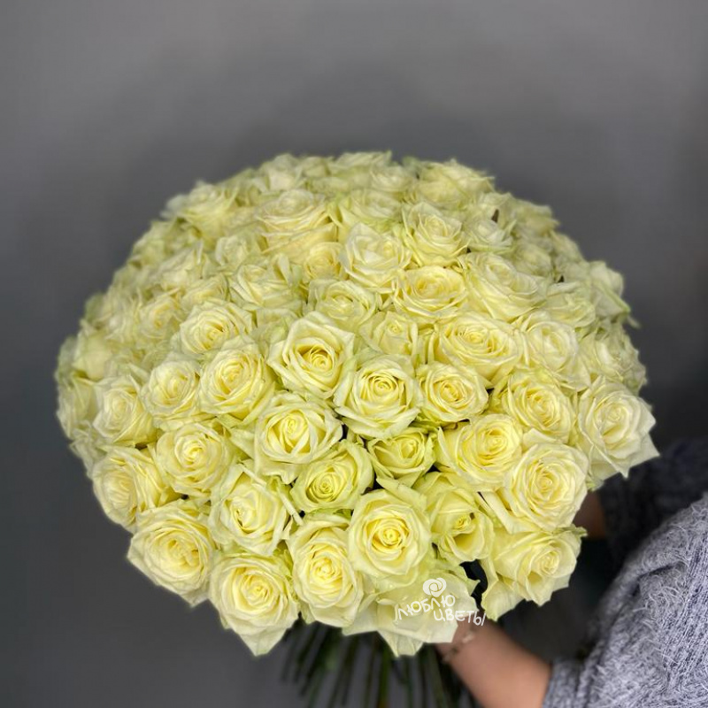 Букет из 101 белой розы «Белла»