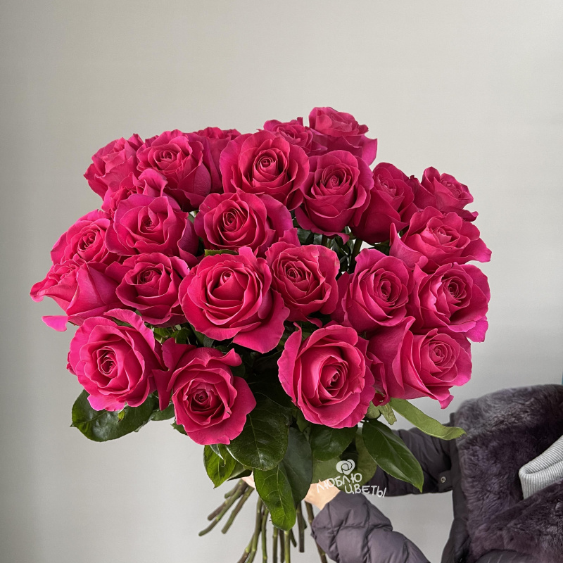 Букет из 25 ярко розовых роз «Яркая фуксия»