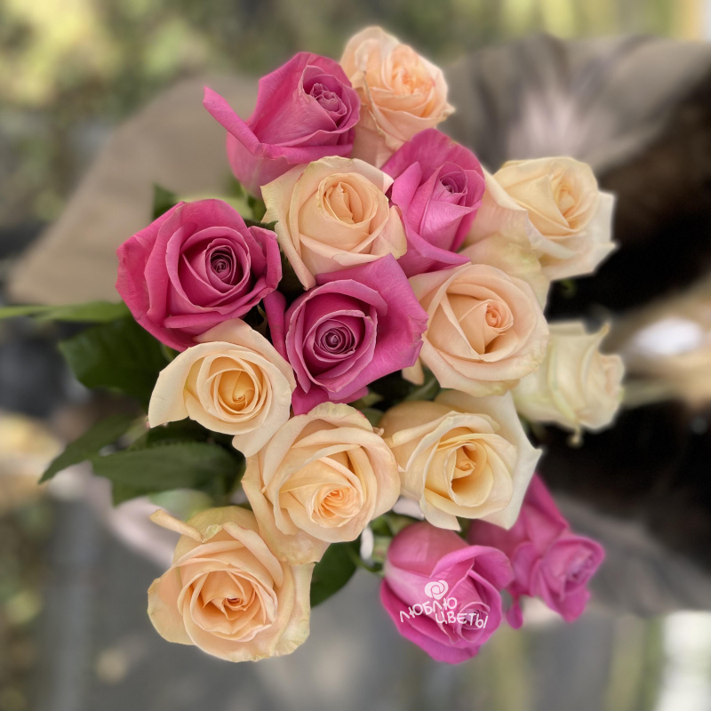 Букет из 15 розовых роз &laquo;Симпатия&raquo; 1