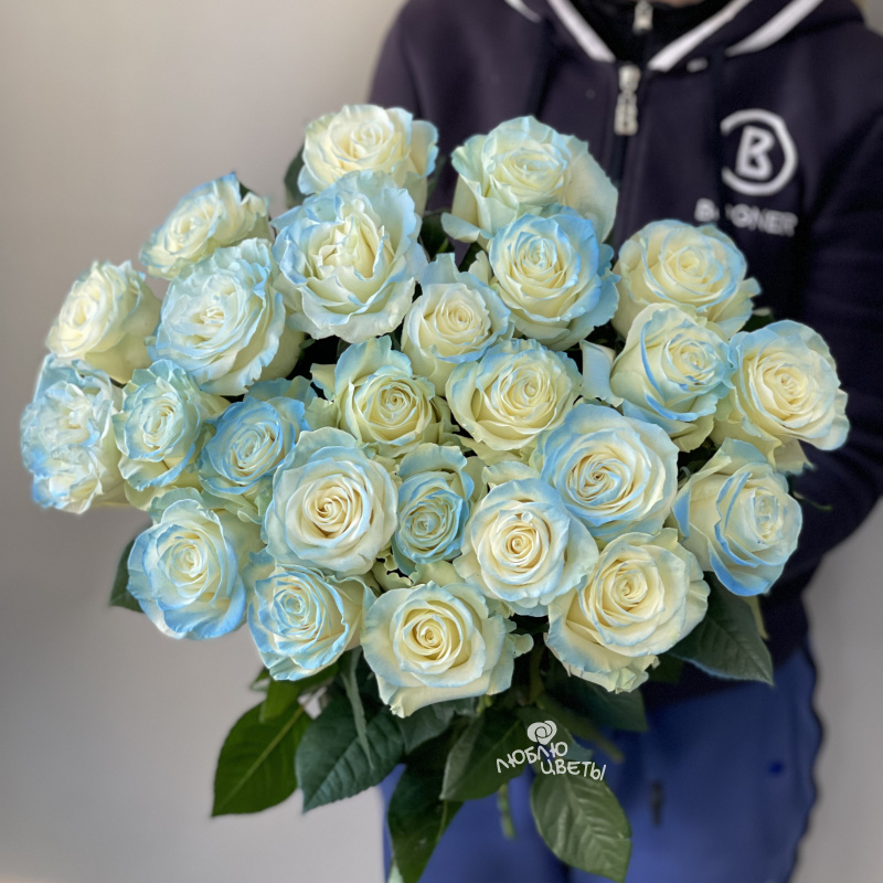 Букет из 25 голубых роз «Небесное сияние»