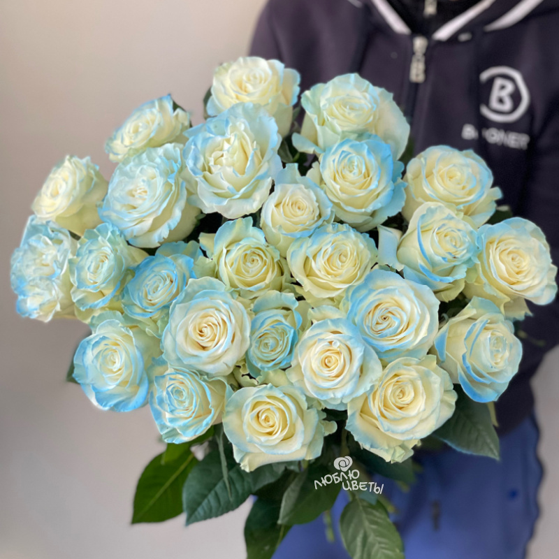 Букет из 25 голубых роз «Небесное сияние» 1