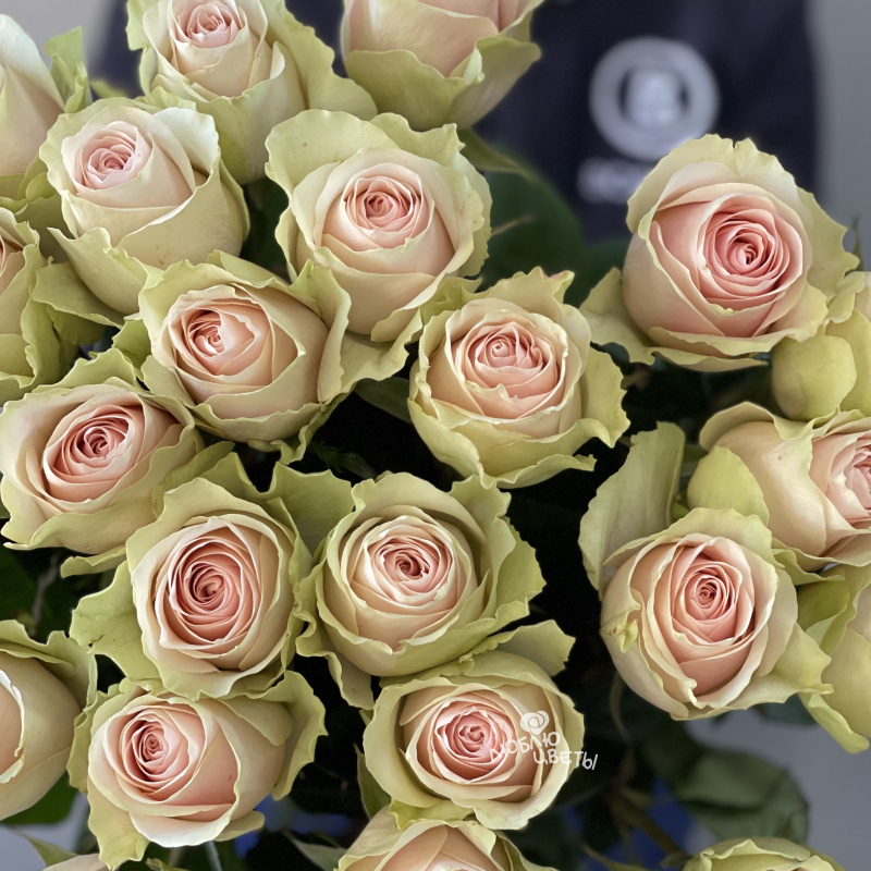 Букет из 25 розовых роз «Особый случай» 2