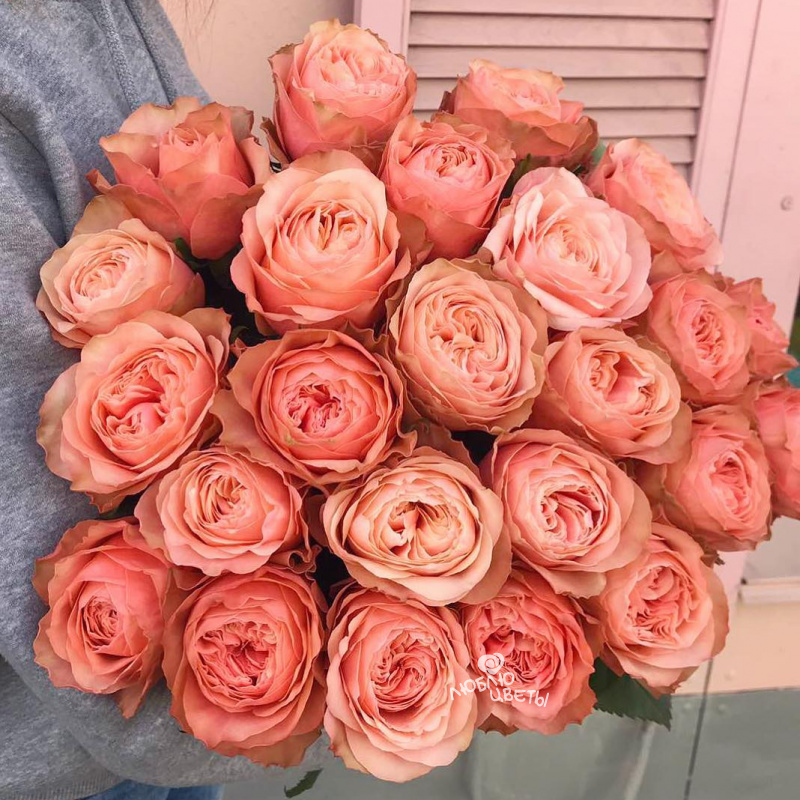 Букет из 25 пионовидных роз «Кахала»