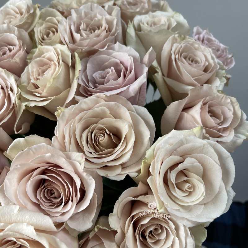 Букет из 25 роз «Прикосновение ветра» 3