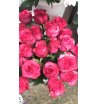 Букет из 51 розы «Лола» 2