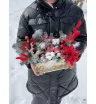 Композиция с нобилисом «Звездопад»