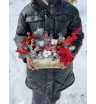 Композиция с нобилисом «Звездопад» 4