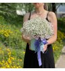 Гипсофила в коробке «Белая вуаль» 1
