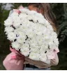 Букет из белых хризантем «Северное сияние» 2