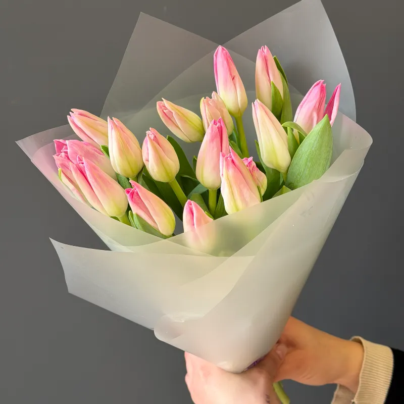 Серенада тюльпанов 1