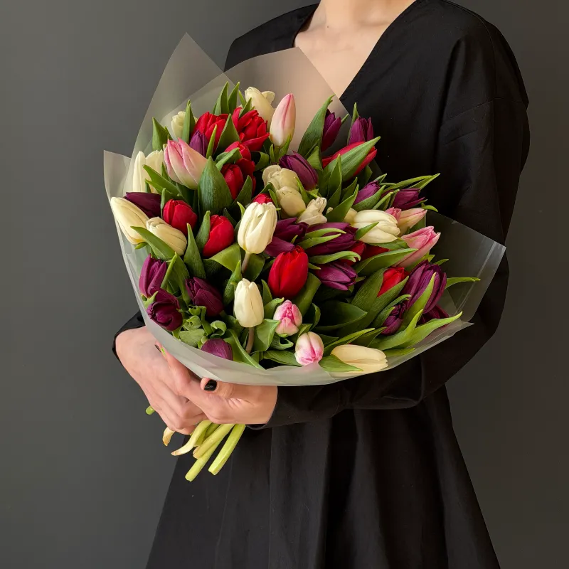 Первые ноты 1