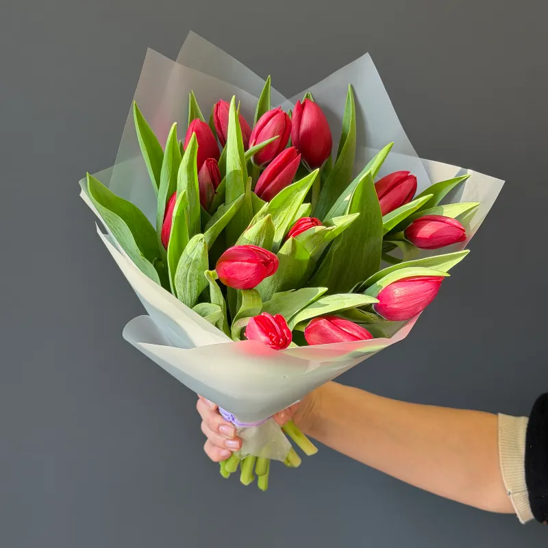 Весенняя свежесть