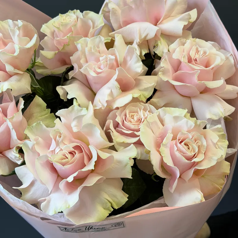 Букет французских роз &laquo;Клубничный вальс&raquo;